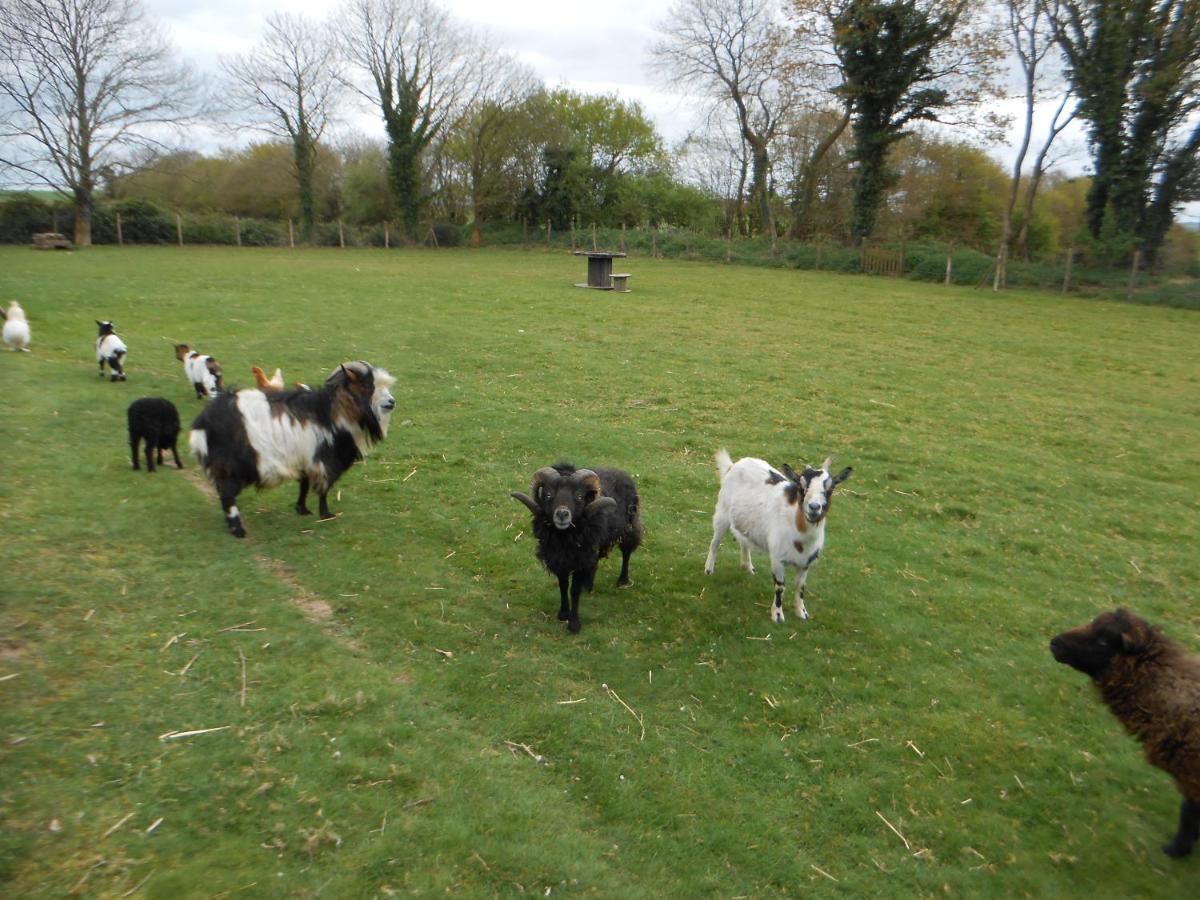 Gite Rural Finistere Sud Entree Presqui'Le Crozon Saint-Segal 外观 照片